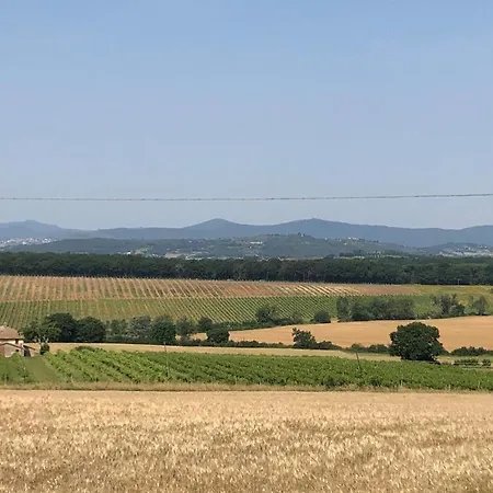 Il Casale Del Trebbio
